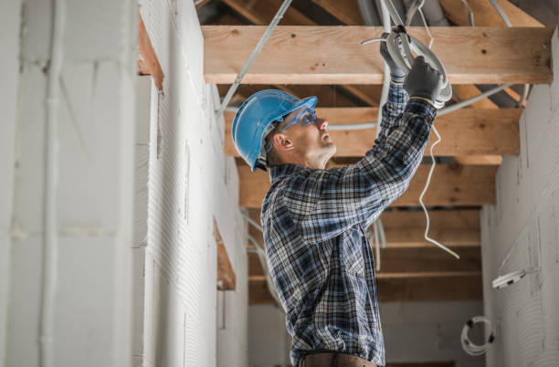 Best Local Electrician Companies  in Springville, IA