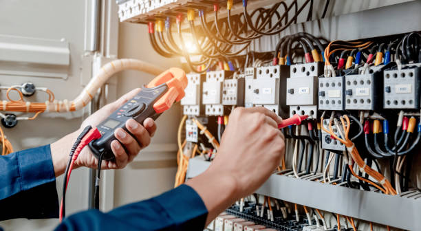 Best Electric Panel Repair  in Springville, IA